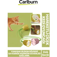 Feyza Design Özel Üretim Çok Renkli Uzun Saplı Kedi Oyuncağı