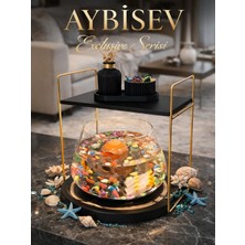 Işıklı Şık ve Sofistike Tasarımlı Cam Fanus Beta Balığı Akvaryum Seti