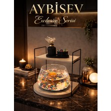 Işıklı Özel Tasarım Cam Fanus Beta Balığı Için Dekoratif Akvaryum & Fanus Seti