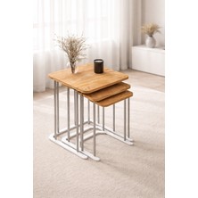 3lü Kare Zigon Sehpa