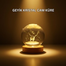 USB Bağlantılı Geyik Temalı Kristal Küre Premium Masa Gece Lambası - Lisinya