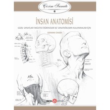 Lisinya Çizim Sanatı Serisi 6 - Insan Anatomisi