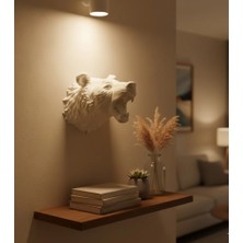 Beyaz Renk 3D Ayı Başı Duvar Dekoru