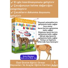 Feyza Design Eğitici Görsel Algı Zeka Kartları - Çocuklar Için Eğlenceli Öğrenme