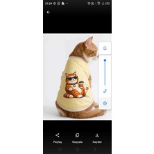 Pafiwear Kedi Köpek Kıyafetleri