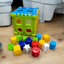 Feyza Design 22 Parça Zeka ve Beceri Geliştirme Oyunu 1-3 Yaş