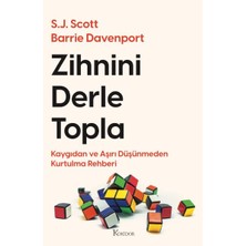 Lisinya Zihnini Derle Topla