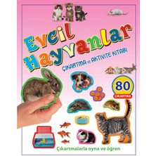Lisinya Evcil Hayvanlar - Çıkartma ve Aktivite Kitabı