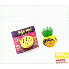 Feyza Design Eğitici Zeka Oyunu ve Çim Adam Figürlü Çocuk Oyuncağı