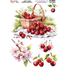 İstanbul Hobi Istanbul Hobi Pirinç Dekopaj PT3810