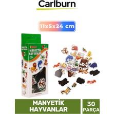 Feyza Design Eğitici Manyetik Hayvanlar Seti - 30 Parça, Öğrenmeye Destek
