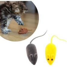 Feyza Design Iki Parçalı Elastik Kedi Oyuncağı Sesli Zeka Eğitimi