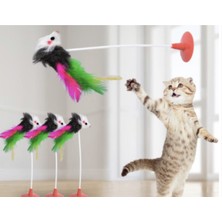 Feyza Design Turuncu Kedi Zeka Oyuncağı - Eğlence ve Zeka Gelişimi