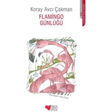 Lisinya Flamingo Günlüğü