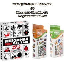 Feyza Design Eğitici Zeka Kartları ve Manyetik Taşıtlar ile Hayvanlar Seti