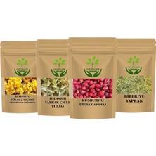 Tan Organik Altın Otu Ihlamur Kuşburnu Biberiye 100 Er gr Set