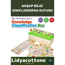 Feyza Design Ahşap Çocuk Bilgi Sınıflandırma Kutusu - Eğitici Oyuncak