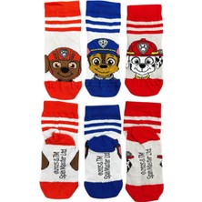 CNS Concept PAW PATROL ÜÇLÜ ÇOCUK ÇORAP 19-23 NUMARA