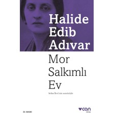 Lisinya Mor Salkımlı Ev