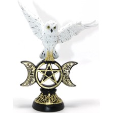 Magicool Polyester Baykuş ALK2351