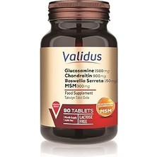 SHC4200 Validus Glucosamine + Chondroitin + Msm 90 Tablets