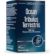 SHC4200 Orzax Tribulus Terrestris 500 60 Kapsül