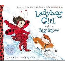 SHC4200 Ladybug Girl And The Big Snow