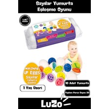 Feyza Design Zeka ve El Göz Koordinasyonu Geliştiren Eğitici Sayılar Oyunu