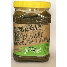 SHC4200 Anatolia Taste Tokat Bağ Yaprağı 1500 gr