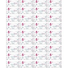 SHC4200 Paddlers Cep Mendili 540 Yaprak (36X15) – Koli,