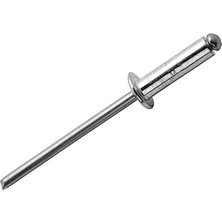 SHC4200 Rapi̇d 5000380 Perçi̇n Ø4.8X10MM Alümi̇nyum 100 Adet