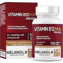 SHC4200 Multibiotin B12, B6 Folik Asit Içeren Edici Gıda. 1000MCG B12 Ma