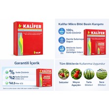 Klimaks Demir ve Çinko İçerikli Bitki Besini-Demir Vitamini-Kalifer 1 kg-Yaprak Sararmasına Çözüm