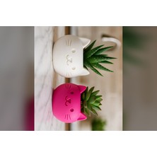 Genç 3D Sevimli Kedi Tasarımlı Dekoratif Vazo ve Sukulent Saksı - Estetik Çiçek ve Bitki Düzenleyici