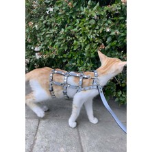 Hobilinka Karanlıkta Parlayan Reflektörlü Şık Kedi Harness, Kedi Yürüme Tasması, Kedi Güvenlik Tasmas