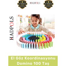Feyza Design Eğitici El Göz Koordinasyonu Geliştirici Domino Oyunu
