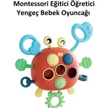 Feyza Design Yengeç Şekilli Montessori Duyusal Gözlem Oyuncağı