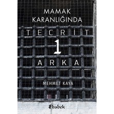 TeknoKapsül K Karanlığında Tecrit 1 Arka