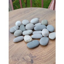 Feyza Design Taş Boyama Seti 15 Parça - Eğitici ve Yaratıcı Aktivite