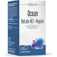 SHC4200 Betain Hcl Pepsin 120 Tablet