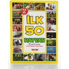 Feyza Design Ilk 50 Hayvan Zeka Kartı 21X15 cm Sarı - Eğitici Oyuncak