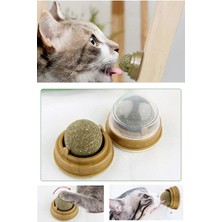 Feyza Design Yeşil Kedi Zeka Oyuncakları Topu - Eğlenceli ve Dayanıklı