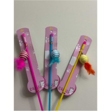 Feyza Design Çok Renkli 3 Adet Kedi Oyun Oltası Seti