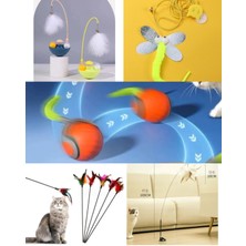 Feyza Design Çok Renkli 5'li Kedi Oyuncak Seti - Zeka ve Eğlence