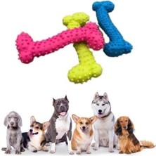 Feyza Design Küçük Kemik Plastik Kedi Zeka Oyuncağı - Yeşil Tırtıklı Yüzey