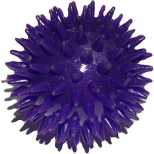 Feyza Design Işıklı Mor Kirpi Top Oyuncağı Kedi ve Köpekler Için