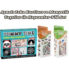 Feyza Design Yenidoğanlar Için 3'lü Eğitici Oyun Seti: Aynalı Zeka Kartları ve Manyetik Taşıtlar