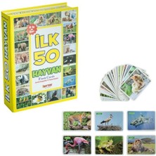 Feyza Design Ilk 50 Hayvan Flash Cards Zeka Oyunu 12 Ay ve Üzeri Için