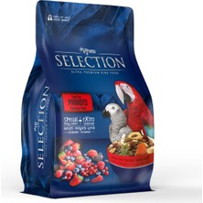 Myyem Selection Gerçek Meyve Parçalı Papağan Yemi 750GR ( 5 Li Paket )