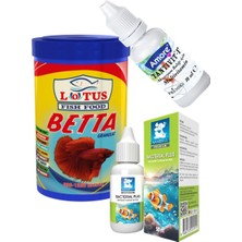Lotus Beta 100ML Balık Yemi, Tantivit Multivitamin, Bacteria Plus Bakteri Kültürü